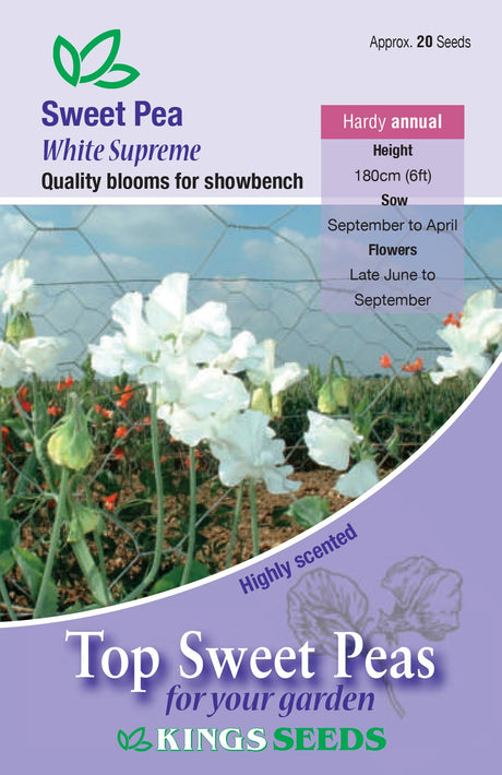 Sweet Pea White Supreme by Kings Seeds - Mill Race Garden Centre