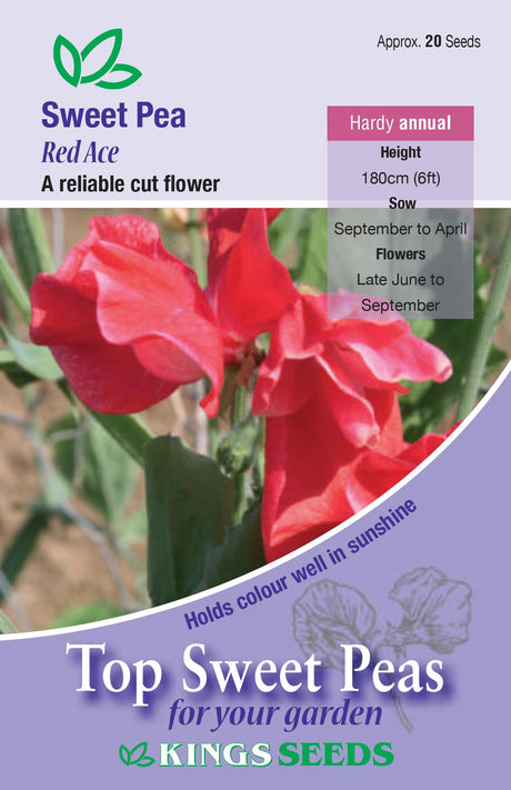 Sweet Pea Red Ace by Kings Seeds - Mill Race Garden Centre