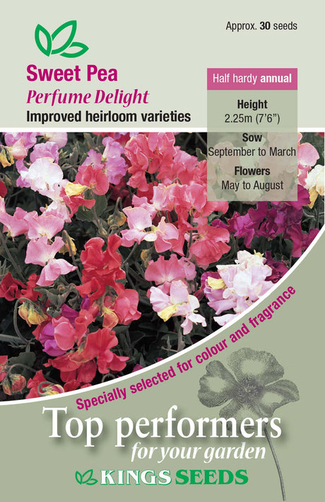 Sweet Pea Perfume Delight - Mill Race Garden Centre