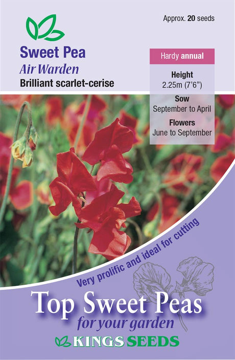King Seeds Sweet Pea Air Warden - Mill Race Garden Centre