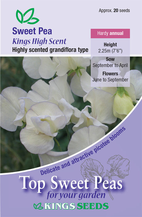 Sweet Pea Kings High Scent flower by E.W. King & Co. Ltd., showing vibrant pink and purple blossoms with lush green foliage.