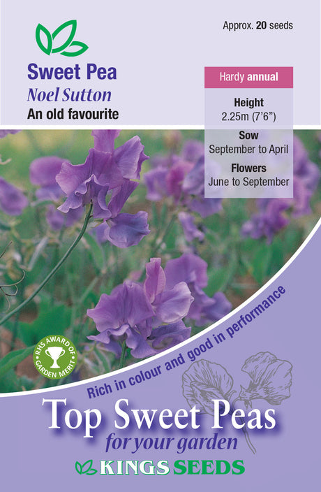 King Seeds Sweet Pea Noel Sutton - Mill Race Garden Centre