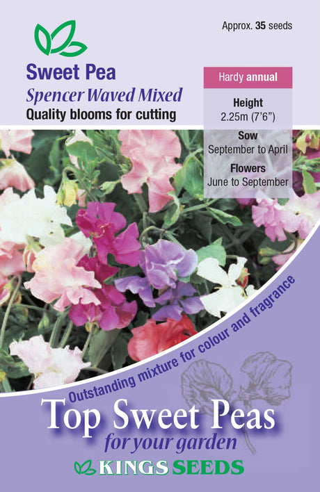Sweet Pea Kings Spencer Waved - Mill Race Garden Centre