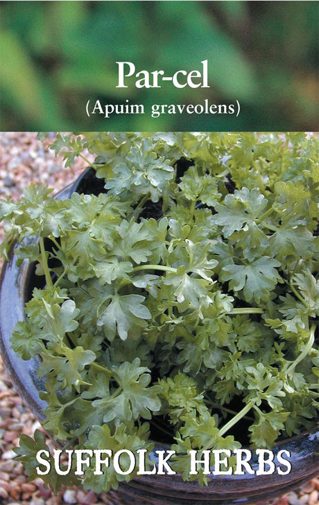 Parcel - Mill Race Garden Centre