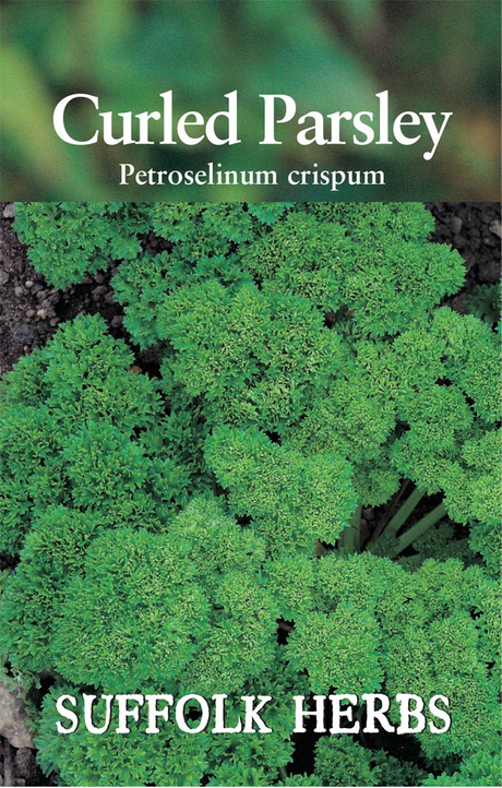 Herb Parsley Extra Triple Curled Seeds - Mill Race Garden Centre