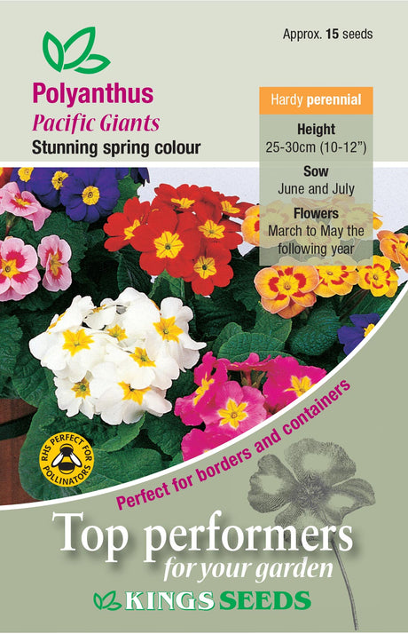 Polyanthus Pacific Giants F1 by Kings Seeds - Mill Race Garden Centre