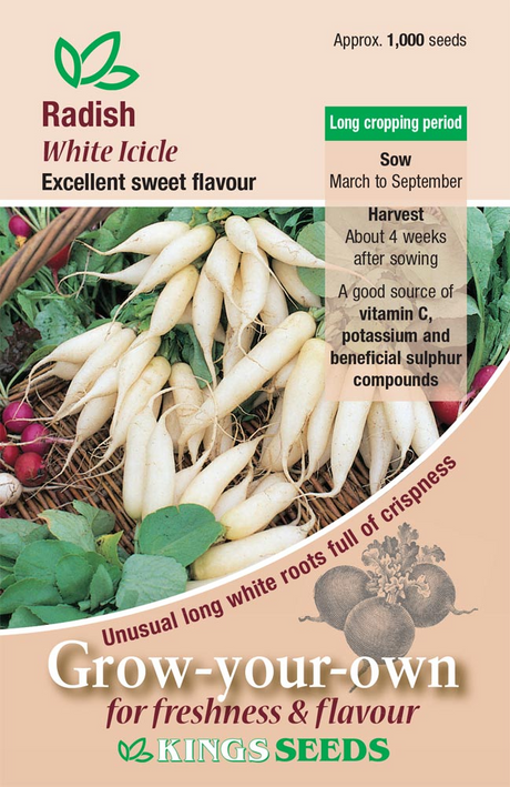 White Icicle Radish Seeds - Mill Race Garden Centre