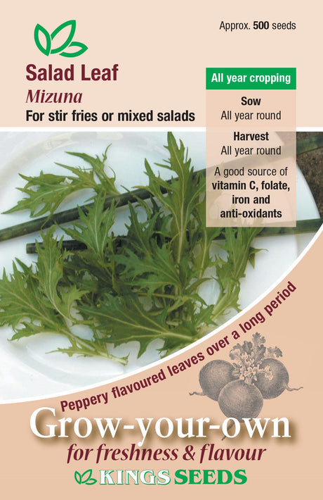 Salad Leaf Mizuna by Kings Seeds - Mill Race Garden Centre