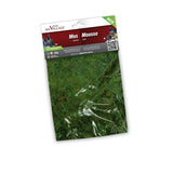 My Village Green Moss – 30g Bag Natural Landscaping Accent