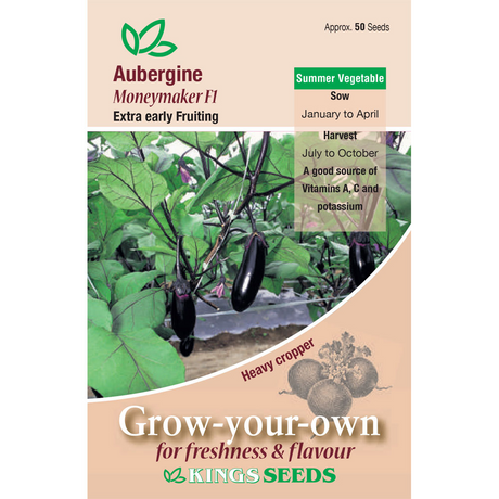 Aubergine Moneymaker F1 - Mill Race Garden Centre