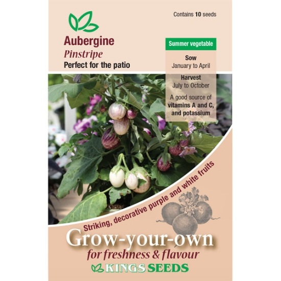 Aubergine Pinstripe - Mill Race Garden Centre