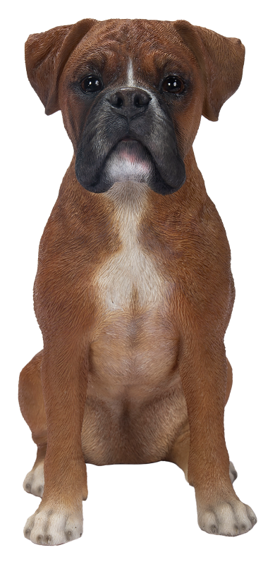 Realistic Vivid Arts Boxer dog resin garden ornament, suitable for indoor and outdoor decorative use.