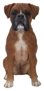 Realistic Vivid Arts Boxer dog resin garden ornament, suitable for indoor and outdoor decorative use.