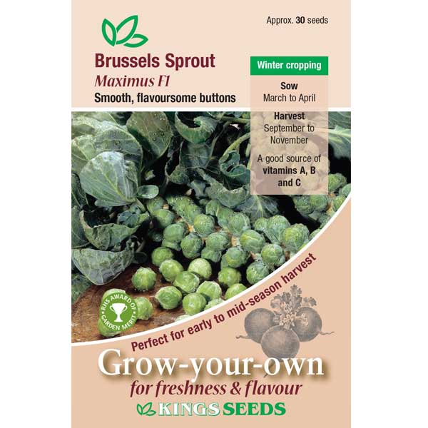 Brussels Sprout Maximus F1 RHS AGM - Mill Race Garden Centre