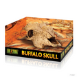 Buffalo Skull - Mill Race Garden Centre