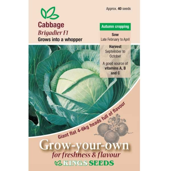 Cabbage Brigadier F1 - Mill Race Garden Centre