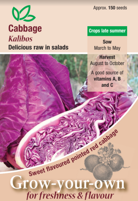 Cabbage Kalibos - Mill Race Garden Centre