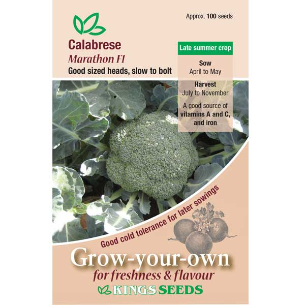 Cabbage Tundra F1 RHS AGM - Mill Race Garden Centre
