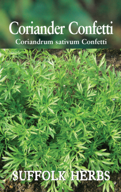 Coriander Confetti - Mill Race Garden Centre
