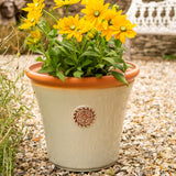 Cream-colored Creekwood 30cm Chatsworth planter by Mill Race Garden Centre, ideal for indoor and outdoor garden plants.