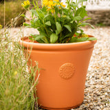 Terracotta Creekwood 35cm Chatsworth planter by Mill Race Garden Centre, outdoor and indoor garden plant pot with textured finish.