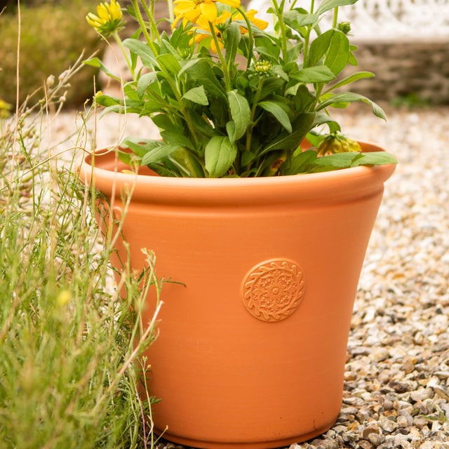 Terracotta Creekwood 35cm Chatsworth planter by Mill Race Garden Centre, outdoor and indoor garden plant pot with textured finish.