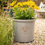 Grey Creekwood 30cm Cotswold Cylinder Planter for indoor and outdoor gardens, stylish garden plant pot with a modern design.