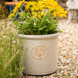Cream-colored Creekwood Cotswold Cylinder Planter, 30cm outdoor garden and indoor plant pot with a smooth, modern design.