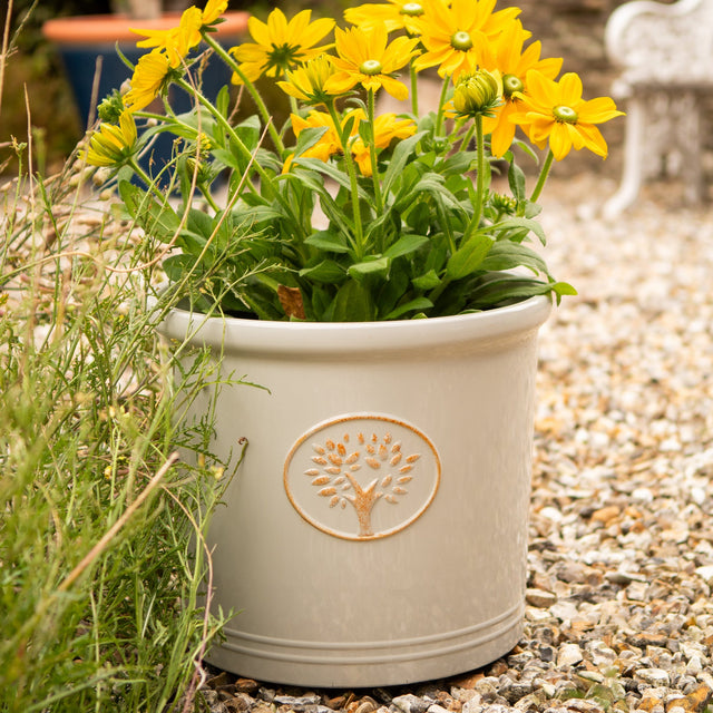 Cream-colored Creekwood Cotswold Cylinder Planter, 30cm outdoor garden and indoor plant pot with a smooth, modern design.