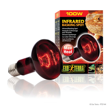 Exo Terra HeatGlo Infrared Spot Lamp R20 100W - Mill Race Garden Centre