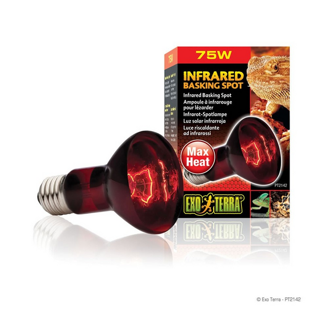 Exo Terra HeatGlo Infrared Spot Lamp R20 75W - Mill Race Garden Centre