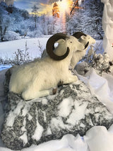 My Village Mouldable Sheet Rocks Roll 1.2X10M Extra Large Size For Large Projects - Mill Race Garden Centre