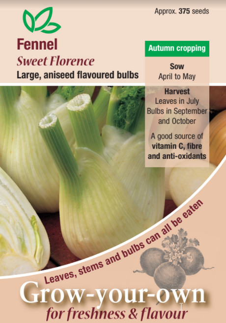 Fennel Sweet Florence - Mill Race Garden Centre