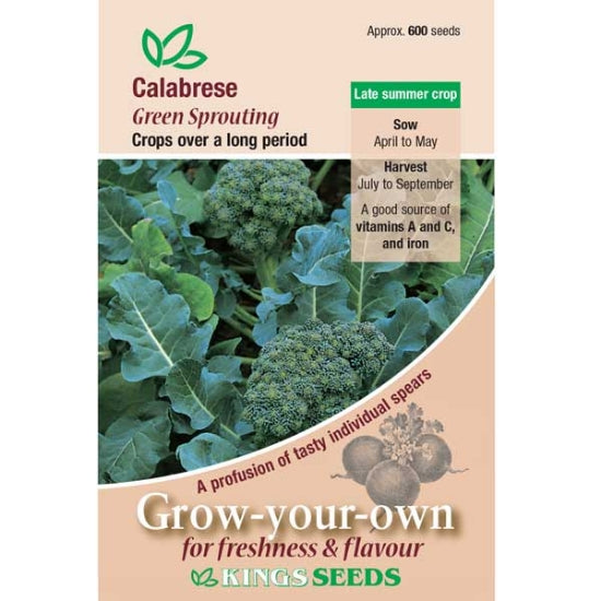 Calabrese green sprouting seeds by Kings Seeds, E.W. King & Co. Ltd., showing fresh green seed sprouts on a white background.