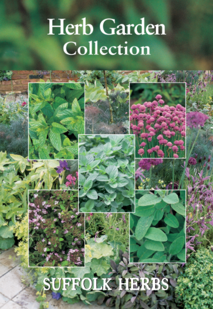 Herb Garden - Mill Race Garden Centre