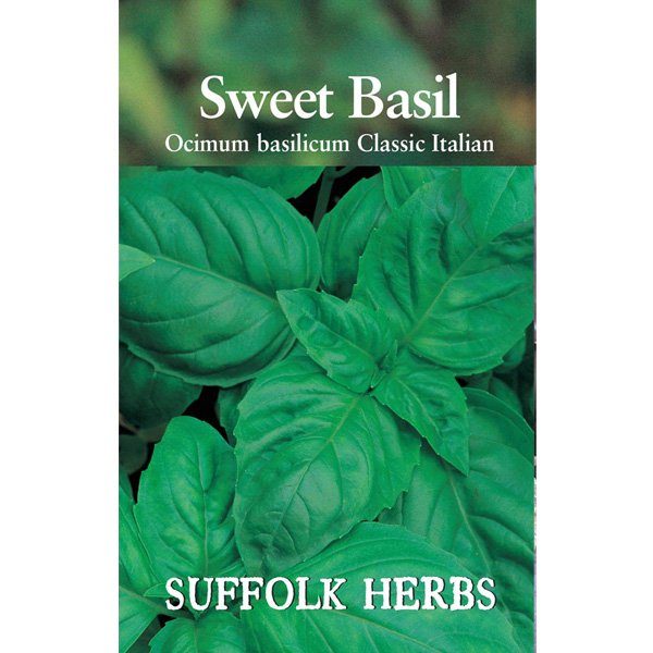 Herb Basil Classic Italian - Mill Race Garden Centre