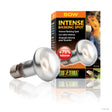 Exo Terra Intense Basking Spot 50W - Mill Race Garden Centre
