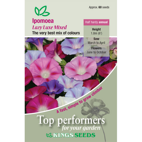 Ipomoea Purpurea Lazy Luxe Mixed - Mill Race Garden Centre