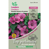 Lavatera Loveliness by Kings Seeds