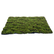 My Village Moss Mat Medium Green and Brown 70X50Cm - Mill Race Garden Centre