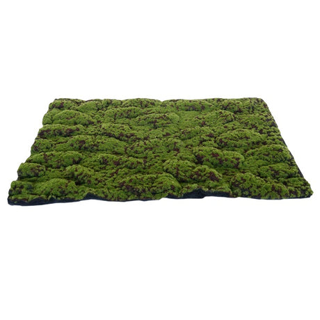 My Village Moss Mat Medium Green and Brown 70X50Cm - Mill Race Garden Centre