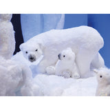 Mother and Baby Polar Bear Decoration by Kaemingk