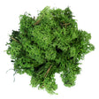 Dark green reindeer moss from My Village, 50g pack, natural textured foliage for miniature village landscapes and model scenery.