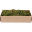 Dried flat moss in green-brown sheets for miniature village scenery and model ground cover, 500g pack from Mill Race Garden Centre