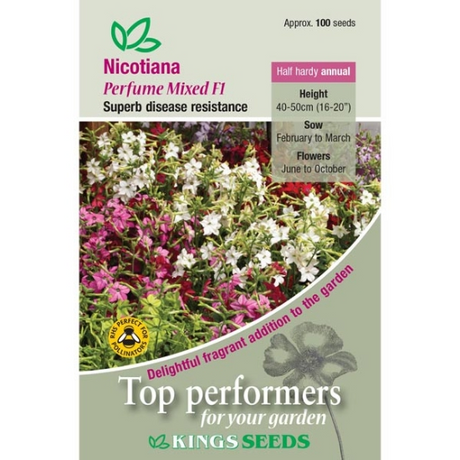 Nicotiana Perfume Mixed F1 - Mill Race Garden Centre