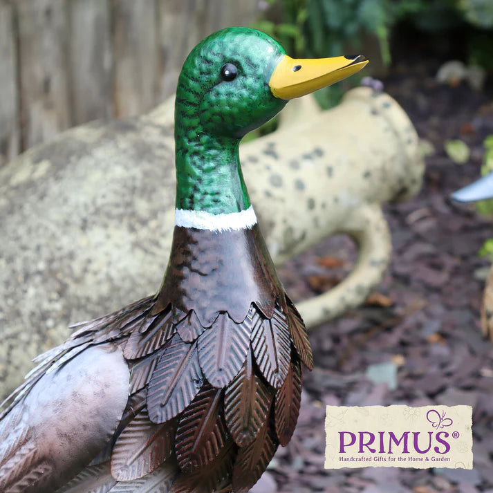 Metal Farmyard Male Duck by Primus - Mill Race Garden Centre