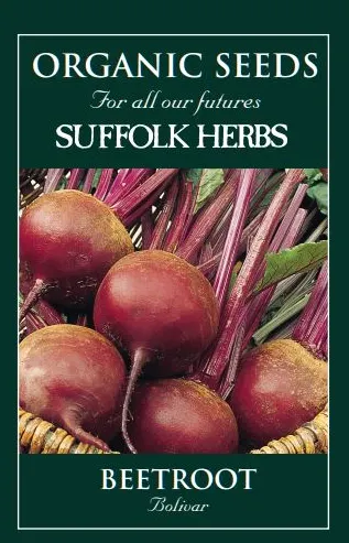 Organic Beetroot Boliva - Mill Race Garden Centre