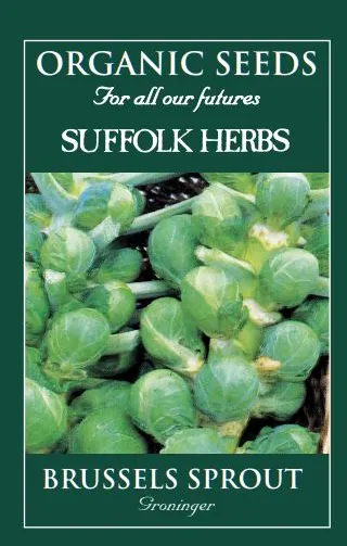 Organic Brussels Sprout Groninger - Mill Race Garden Centre