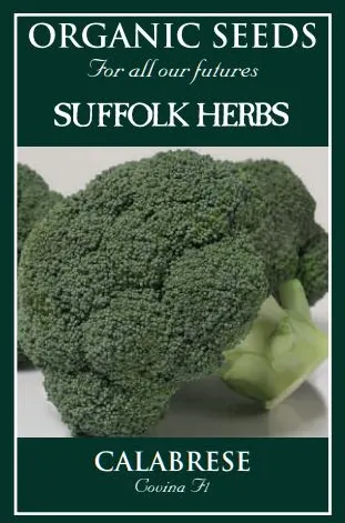 Organic Calabrese Covina F1 - Mill Race Garden Centre