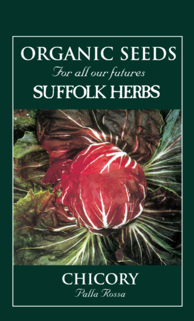 Organic Chicory Palla Rossa - Mill Race Garden Centre